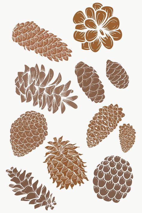 Conifer Cone, Floral Stencil, Holography, Stickers Design, Cute Emoji, Journaling Ideas, Set Free, Beige Background, Pics Art