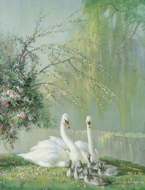 Swan Pictures, Swan Painting, Swans Art, Beautiful Swan, Rennaissance Art, Aesthetic Painting, Romantic Art, Ethereal Art, Dreamy Art