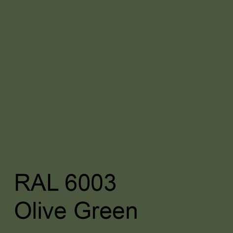 Olive Green Swatch, Olive Green Color Palette, Olive Green Aesthetic, Deep Autumn Palette, Ral Code, Robin Hoods, Olive Colour, Colour Samples, Robin Hoods Bay