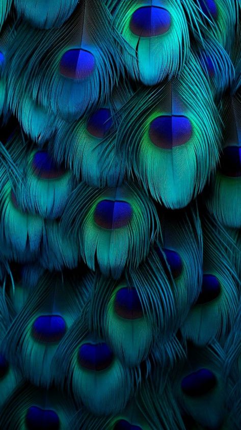 Peacock Color Wallpaper, Love Of Radha Krishna, Ha Wallpaper, Krishna Photography, Krishna And Radha, New Nature Wallpaper, Deep Winter Colors, Peacock Wallpaper, Blue Flower Wallpaper