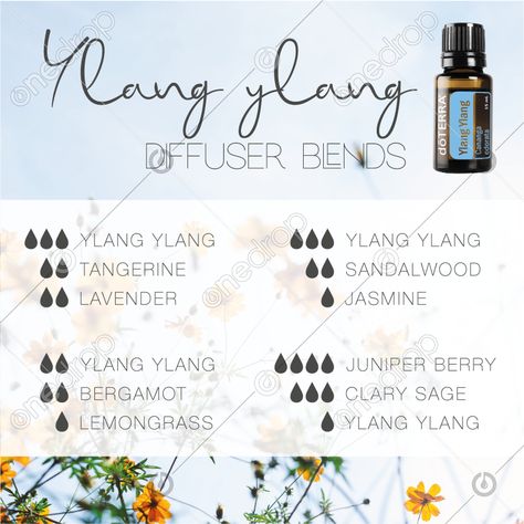 Ylang Ylang Diffuser Blends, Doterra Essential Oils Recipes, Doterra Wellness Advocate, Diffuser Recipes, Content Calendars, Oil Blends, Doterra Essential Oils, One Drop, Diffuser Blends