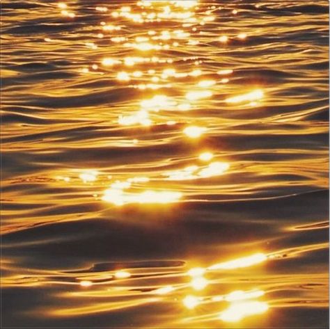 Golden Water Aesthetic, Gold Water Aesthetic, Ocean Golden Hour, Inner Alchemy, Golden Lake, Water Sunset, Tropical Painting, Water Aesthetic, Water Powers