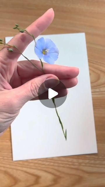 HammerFlower on Instagram: "Blue Linen - tiny and delicate flowers can be hammered together with a stem 🔨🌿 

#hammeredflowers
#bluelinen
#medow
#wildflowers" Hammered Flower Art, Hammered Flowers, Floral Printing, Delicate Flowers, Nature Crafts, Delicate Flower, Flower Crafts, Pressed Flowers, Fun Diys