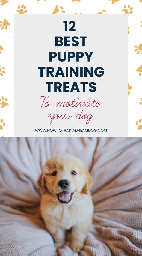 Discover the top treats to motivate your puppy during training sessions. These treats are not only delicious but also healthy, making them perfect for frequent rewards. Learn which treats capture your puppy's attention best and help them learn faster. Best Puppy Training Treats, Best Treats For Puppies, Treats For Puppies Training, Lab Puppy Training, Puppy Games, Dog Training Treats Recipe, Puppy Training Treats, Puppy Starter Kit, Chocolate Lab Puppies