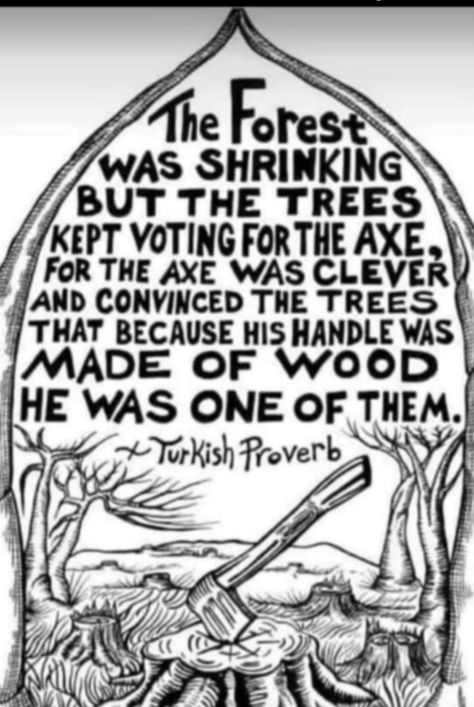 teresa blake on Twitter: "https://t.co/SqEgdFTI6i" / Twitter Ink Illustrations, Made Of Wood, The Forest, Proverbs, That Way, Wise Words, Words Of Wisdom, Trees, Forest