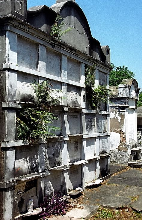 New Orleans Graveyard, Graveyard Landscape, Family Crypt, Mayfair Witches, New Orleans Halloween, New Orleans Cemeteries, New Orleans Garden District, Dark Tourism, New Orleans Architecture