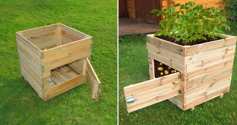 Growing and harvesting homegrown potatoes has never been easier with this wooden potato planter with a door. Potato Barrel, Small Backyard Garden, Potato Planter, Potato Box, Grow Potatoes In Container, Potato Bin, Potato Planters, Planter Box Plans, Raised Planter Boxes