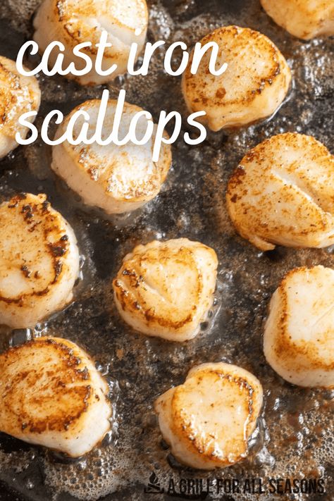 There aren't many things more delicious than a perfectly seared scallop. Cooking cast iron scallops are a sure way to deliver flavor and texture with each bite. You are sure to enjoy this easy to make recipe. How To Cook Scallops In Cast Iron, Scallops In Cast Iron Skillet, Cast Iron Scallops, Seared Scallops Cast Iron, Searing Scallops, Broil Recipes, Scallops Recipes, How To Make Scallops, Cast Iron Skillet Recipes Dinner