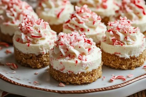 Candy Cane Mini Cheesecakes, No Bake Peppermint Cheesecake Bites, Peppermint Cheesecake Bites, Mini Peppermint Cheesecake, Mini Christmas Cheesecakes, Christmas Cheesecake Bites, Christmas Cheesecake, Peppermint Cheesecake, Christmas Cheese