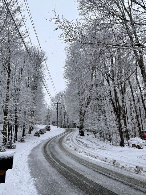 snowy landscape Fresh Snow Aesthetic, Winter In North Carolina, North Carolina Living, North Carolina Aesthetic, North Carolina Winter, Carolina Aesthetic, Carolina Do Norte, Birthday 2023, American States