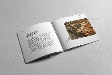 Square Book Layout Design Inspiration, Square Magazine Design, Square Portfolio Layout, Square Page Layout, Square Book Cover Design, Square Book Layout Design, Square Booklet Design, Square Magazine Layout, Square Book Design