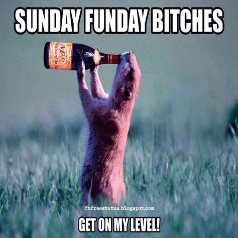 Good Morning, Sunday Funday Bitches Get On My Level. Morning Quotes Humor, Sunday Meme, Quotes Sunday, Its Sunday, Funny Good Morning Memes, Sunday Humor, Funny Good Morning, Sunday Morning Quotes, Sunday Quotes Funny