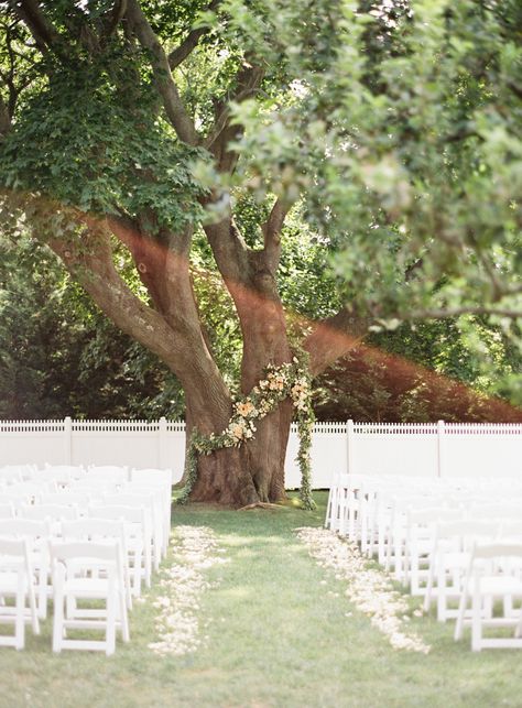 Simple Wedding Ceremony Backdrop, Backyard Wedding Ceremony Backdrop, Ceremony Backdrop Tree, Simple Wedding Ceremony, Tree Wedding Ceremony, Backyard Wedding Decorations, Backyard Wedding Ceremony, Wedding Ceremony Ideas, Yosemite Wedding