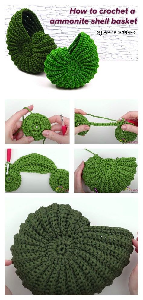 How to Crochet an Ammonite Shell Basket Crochet Basket Patterns, Crochet Shell Pattern, Crochet Spiral, Shell Crochet, Ammonite Shell, Crochet Patterns Ideas, Spiral Shell, Crochet Baskets, Crochet Basket Pattern