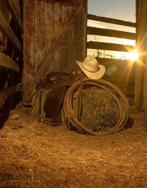 Cowboy Photography, Country Backgrounds, Texas Cowboy, Country And Western, Cowboy Pictures, Cowboy Aesthetic, Western Photography, Western Theme Party, Cowboy Girl