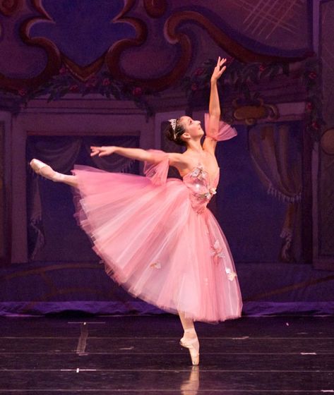 Pink Ballet Costume, Ballet Outfit Performance, Nutcracker Ballet Costumes, Ballerinas Dancing, Flower Ballerina, Waltz Of The Flowers, Professional Ballerina, Ballet Dance Photography, Ballet Recital