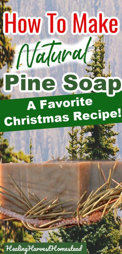 Hot Process Christmas Soap Recipes, Pine Soap Recipe, Hot Soap Process Recipes, Essential Oil Soap Recipe, Essential Oil Blends For Colds, Pine Needle Essential Oil, Pine Tar Soap, Natural Soaps Recipes, Easy Soap Recipes