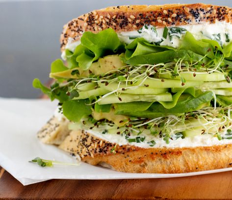 Alfalfa Sprouts Recipes, Cucumber Cream Cheese Sandwiches, Sprout Sandwich, Herbed Cream Cheese, Green Leaf Lettuce, Healthy Breakfast Sandwich, Healthy Sandwich, Summer Sandwiches, Cream Cheese Spread