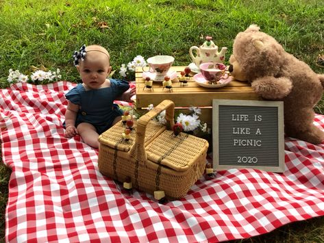 Baby Picnic Photoshoot, Picnic Photoshoot Ideas, Picnic Photo Shoot, Baby Birthday Party Decorations, First Birthday Photography, Picnic Photoshoot, Picnic Theme, Monthly Baby Pictures, 1st Birthday Photoshoot