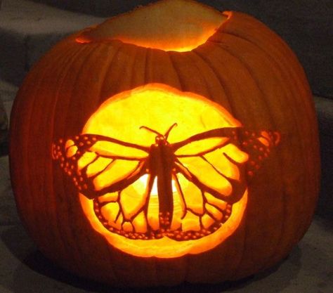 11 creative pumpkins carved to look like wildlife Cute Pumpkin Carving, Pumkin Carving, Halloween Pumpkin Carving Stencils, Pumpkin Carving Contest, Pumpkin Carving Party, Creative Pumpkin Carving, Amazing Pumpkin Carving, Easy Pumpkin Carving, Pumpkin Carving Designs