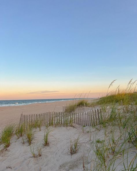 amelia island 💞 Amelia Island Aesthetic, Amelia Island Florida, Amelia Island, Florida, Collage, Pins, Quick Saves