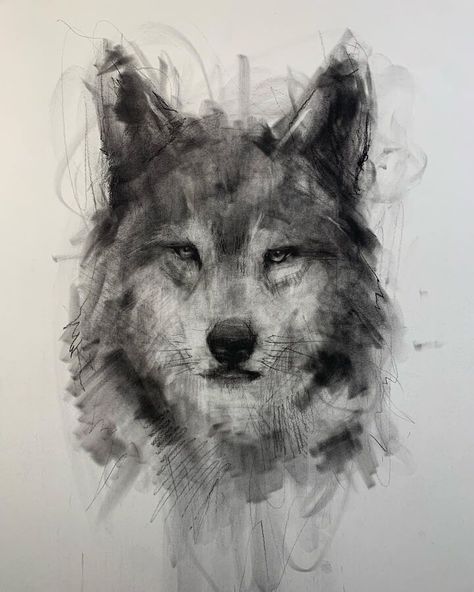 Charcoal Portrait Drawing Drawings Charcoal Ideas, Wolf Charcoal Drawing, Charcoal Tutorial Step By Step, Charcoal Art Ideas Easy, Coal Drawing Easy, How To Draw With Charcoal, Charcole Sketch, Contrast Drawing Ideas, Charcoal Animal Drawings