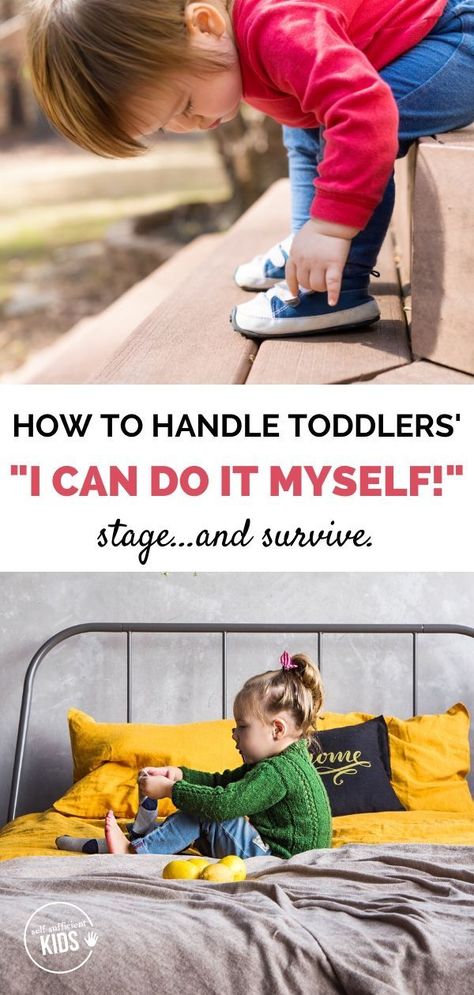 After being completely reliant on their parents for the majority of their young lives, toddlers want more than anything to demonstrate how capable and independent they are. This "I can do it myself stage." can be both a blessing and a bit of a curse. Here's how to support your toddler's independence while still maintaining your sanity. #parentingtoddlers #toddlerindependence I Can Do It Myself, Magic Transformation, Toddler Sleep Training, Independent Toddler, Toddler Bedtime, Raising Girls, Parenting Boys, Parenting Techniques, Toddler Sleep