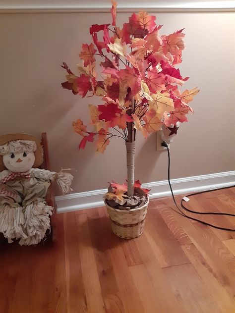 Fun fall crafts: make a toilet plunger tree - Lumber in My Minivan Plunger Crafts, Toilet Plunger, Old Bucket, Fun Fall Crafts, Fall Tree, Plungers, Floral Foam, Minivan, Fall Ideas