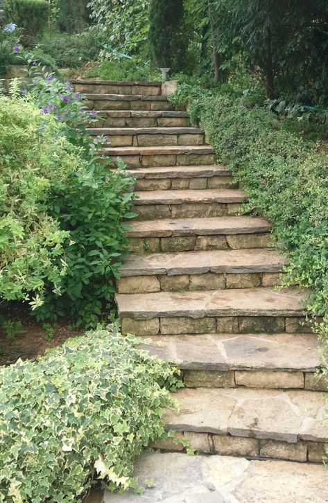 Natural Stone Steps Front Door, Cabin Hillside, Stone Stairs Outdoor, Flagstone Stairs, Outdoor Stone Steps, Front Porch Stone Steps, Small Ornamental Trees, Trees In Pots, Spa Landscaping