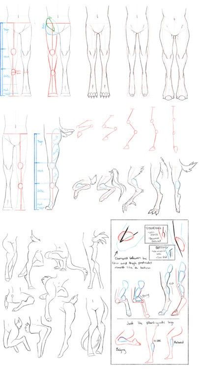 Body Reference Drawing, Poses References, Anatomy Drawing, Figure Drawing Reference, Guided Drawing, Body Drawing, Creature Concept Art, Anatomy Reference, Anatomy Art