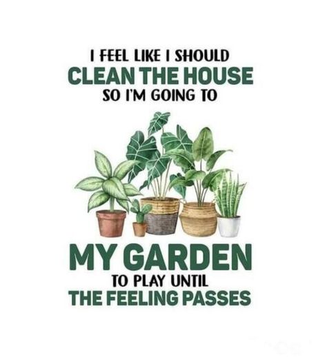 Plant Jokes, Gardening Memes, Floristry Design, Plant Signs, Gardening Humor, Plants Quotes, Vegetable Garden Diy, Garden Crafts Diy, Succulent Gardening