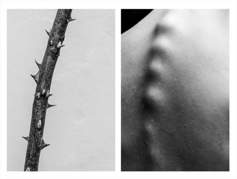 Photos That Show Similarities Between the Human Body and Nature Macro Fotografia, Human Body Art, Body Art Photography, Body Photography, Self Portrait Photography, Painting Media, Conceptual Photography, Minimalist Photography, Foto Art