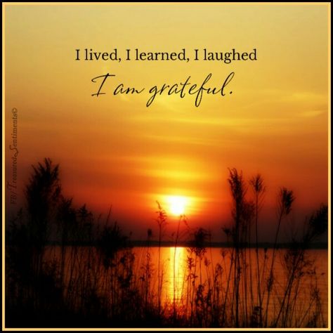 Grateful Pictures, I Am Grateful Quotes, Grateful Quotes, Thankful Thursday, Daily Gratitude, Gratitude Quotes, Makes You Beautiful, Grateful Heart, Practice Gratitude