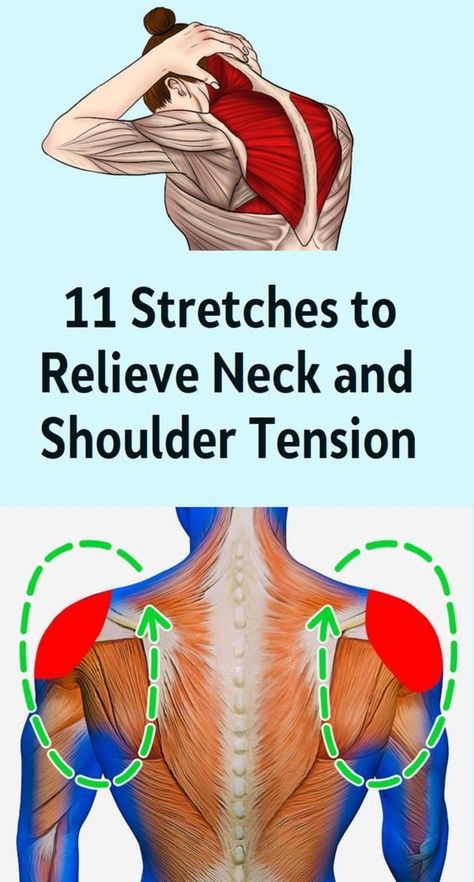 A stiff neck and tight shoulders are very well known issues for many of us. The good thing is that if this pain is caused by stress, bad… Neck And Shoulder Exercises, Shoulder Stretches, Tight Shoulders, Shoulder Tension, Shoulder Pain Relief, Neck Exercises, Stiff Neck, Muscle Pain Relief, Neck And Shoulder Pain