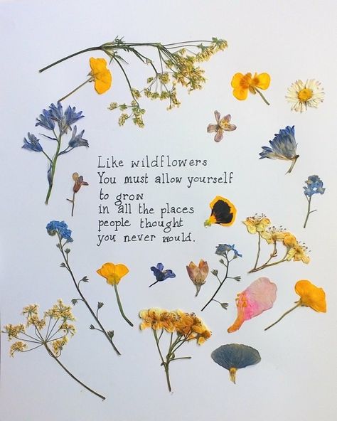 Like Wildflowers You Must Allow, Quotes About Wildflowers, Wildflower Poem, Wildflower Cottage, Wild Flower Quotes, Blog Photos, Parking Spot, Claude Monet, Blog Photo