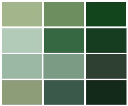 Color palette for wedding, sage green wedding, green wedding, forest wedding, green color palette, forest green wedding palette Forest Green Pallet Colour Palettes, Green Wedding Colour Pallet, Wedding Green Color Palette, Forest Green Wedding Pallet, Moss Green Color Palette Wedding, Color Palette Forest Green, Forest Green Color Swatch, Color Palette Forest, Color Palette For Wedding