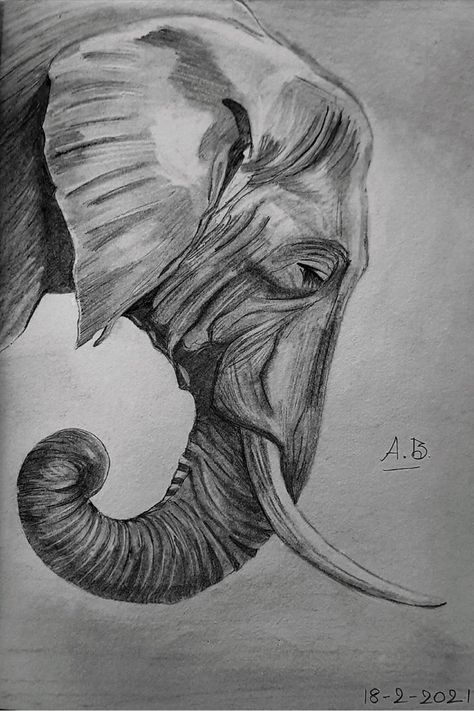 Elephant Face Drawing, Elephant Art Drawing, Face Pencil Drawing, Elephant Sketch, Realistic Animal Drawings, Elephant Print Art, Abstract Pencil Drawings, Elephant Face, Graphite Art