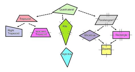 Quadrilateral Family Tree - ThingLink Quadrilateral Family Tree, Family Tree Worksheet, Probability Worksheets, Angles Worksheet, I Love Math, Love Math, Handwriting Practice, Word Families, Learning Math