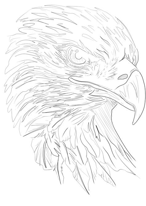 Eagle Tattoo Stencil, Eagle Tattoo Forearm, Eagle Head Tattoo, Bald Eagle Tattoos, Ancient Persian Art, Wildlife Tattoo, Tattoo Linework, Batman Coloring Pages, Sketch Style Tattoos