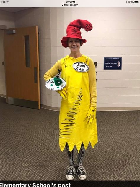 Dr Seuss Diy Costumes, Dr. Seuss Costumes, Dr Seuss Decorations, Dr Seuss Costumes, Storybook Character Costumes, Creative Halloween Costumes Diy, Sam I Am, Book Character Day, Dr Seuss Crafts