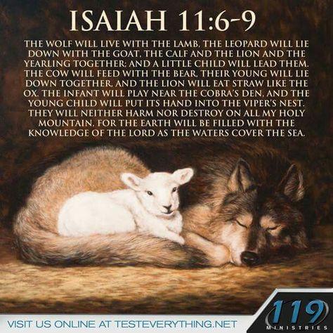 🎚 Isaiah 11:6-9 119 Ministries, Fb Pic, Isaiah 11, Isaiah 9, Spirit Of Truth, Gods Love Quotes, Motivational Quotes For Students, Jesus Painting, Old And New Testament