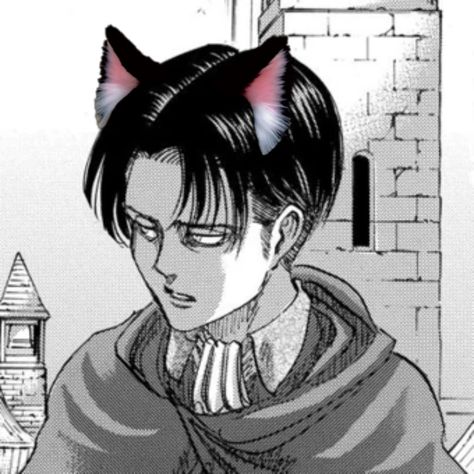 día 16 Levi Cat, Anime Cat Ears, Aot Icons, Cat Anime, Cat Boy, Cat Boys, Cat Ear, Manga Icon, Anime Cat