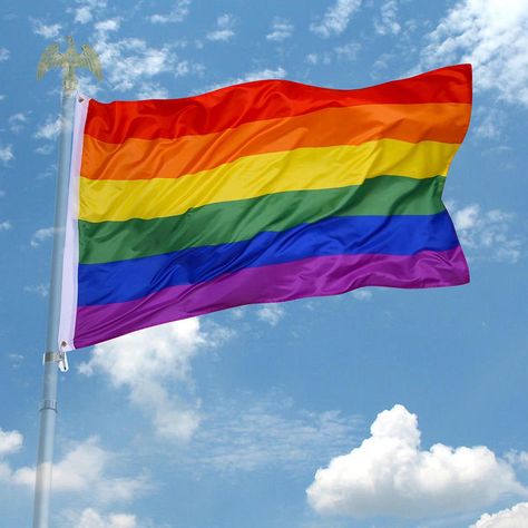 Queer Gift Ideas, Poly Pride, Pride Banner, Rainbow Flags, Gay Flag, Rainbow Flag Pride, Lgbt Flag, Lesbian Flag, Lgbt Love