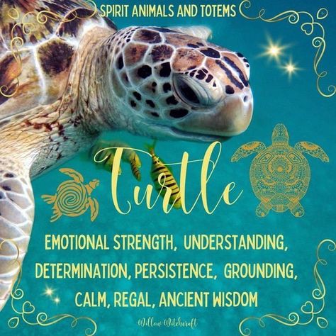 Animal Totem Spirit Guides, Animal Symbols, Tree Hugging, Spirit Animal Meaning, Word Family Activities, Animal Meanings, Witch Board, Spirit Animal Totem, Animal Communication