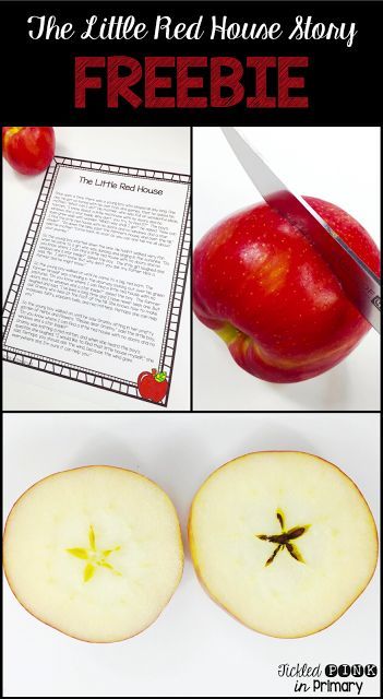 FREE story to use during your apple theme week to show the star in the middle of an apple Apple Star Story Preschool, Apple Star Story, Apple Theme Week, Preschool Seasons, Preschool Apples, Apple Lesson Plans, Apple Unit Study, Apple Week, Preschool Apple Theme