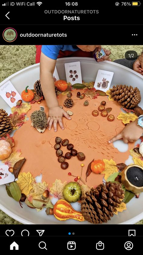 Autumn Tuff Trays For Toddlers, Autumn Sensory Trays, Autumn Activities Eyfs, Autumn Activities For Toddlers, Autumn Eyfs Activities, Eyfs Nursery, Autumn Eyfs, Tuff Tray Ideas Toddlers, Outdoor Learning Activities