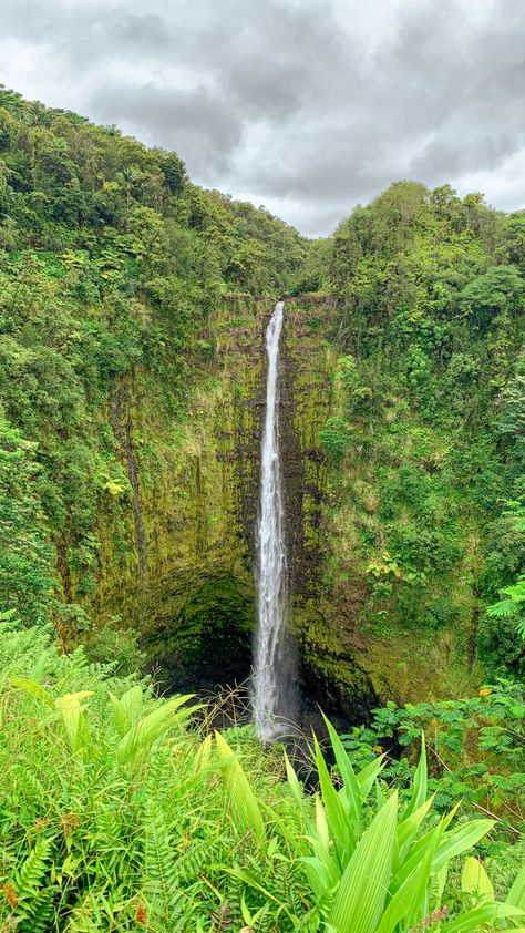 📍’akaka falls, hawaii Akaka Falls Hawaii, Akaka Falls, Hawaii Waterfalls, Places Ive Been, Hawaii, Collage, Iphone, Pins