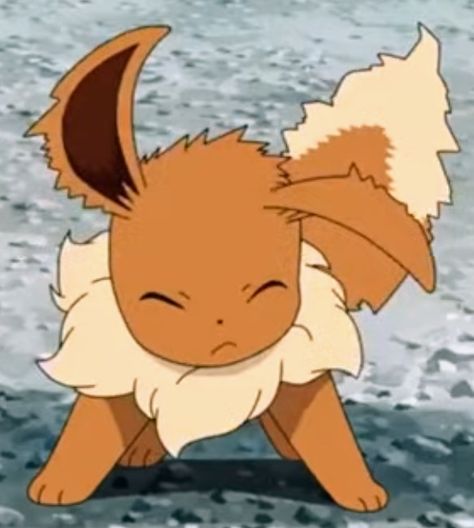 Evee Evolution Matching Pfp, Pokemon Matching Pfp Eeveelutions, Leafeon Pfps, Eevee Widget, Pokemon Reaction, Eevee Pfp, Pokemon Pfp Eevee, Eevee Quotes, Pokemon Pfps