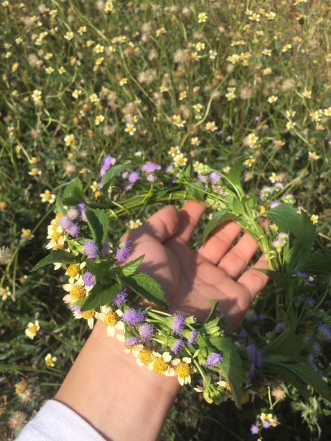 Weed crown natural flower Flower Crown Picnic, Flower Crowns Aesthetics, Flower Crown Aesthetic, Making Flower Crowns, Crown Aesthetic, In Aesthetic, Aesthetic Blue, Midsummer Nights Dream, Flower Crowns