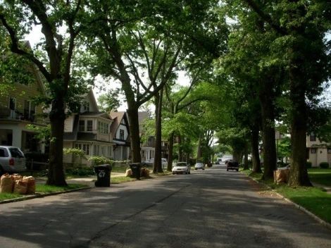 Tree Lined Street, Street Trees, Small Town Life, Suburban House, Scenic Photos, Tree Line, House Goals, Big Houses, Growing Tree